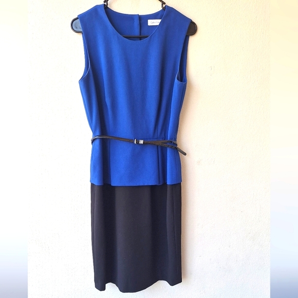 Calvin Klein Sleeveless Button Down Back Sheath Women's Dress Size 6 - Picture 3 of 6